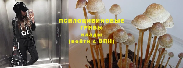 марки nbome Алзамай