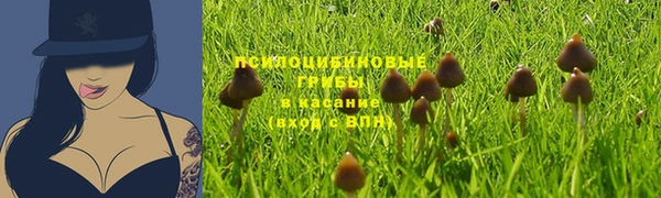 mdpv Алексин