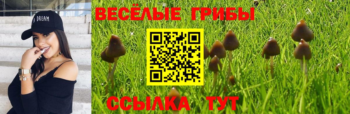 Псилоцибиновые грибы GOLDEN TEACHER Ишимбай